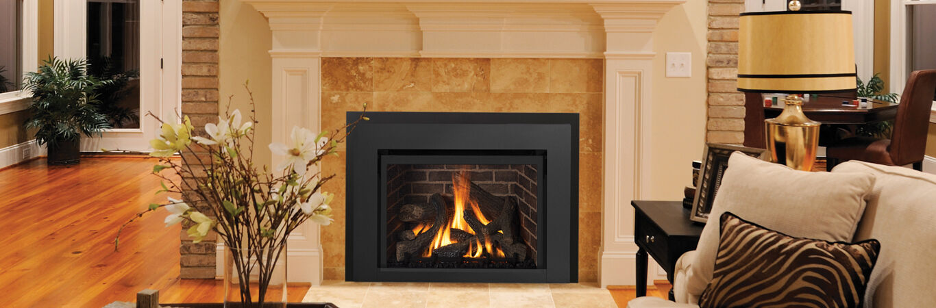 direct vent gas firebox insert direct vent gas firebox insert